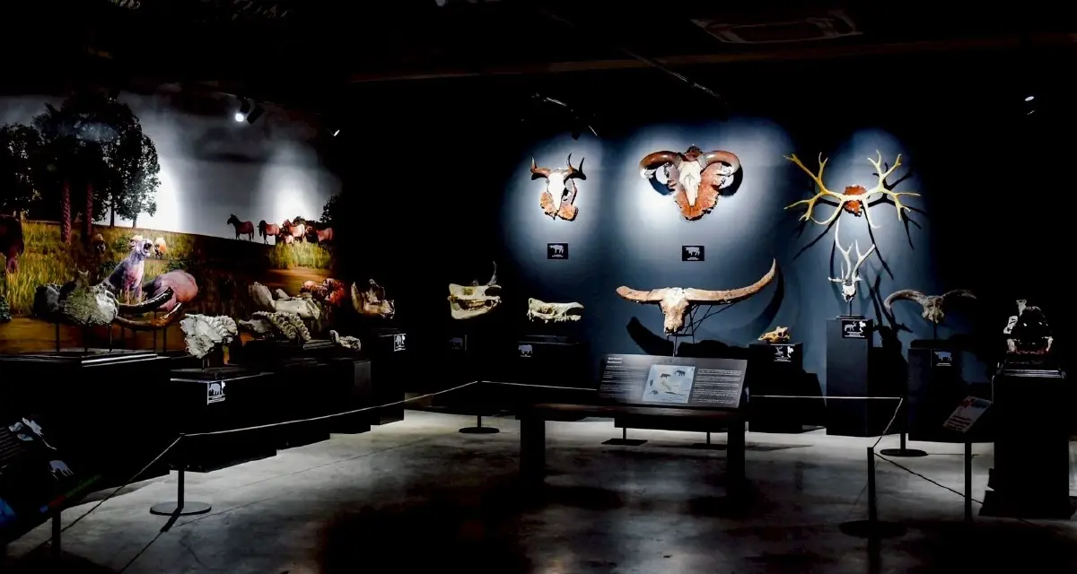 'THAINOSAUR' ชวนย้อนเวลาชม 'ไดโนเสาร์พันธุ์ไทย' ที่ ท่าพิพิธภัณฑ์