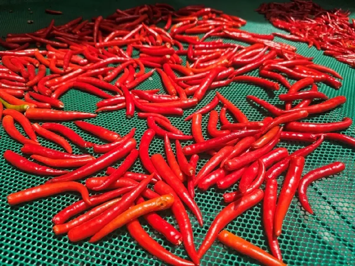 ‘โสเจ๊ง’ ยังไม่เจ๊ง ขายอาหารอีสาน อร่อยมานานใน ‘ย่านอโศก’