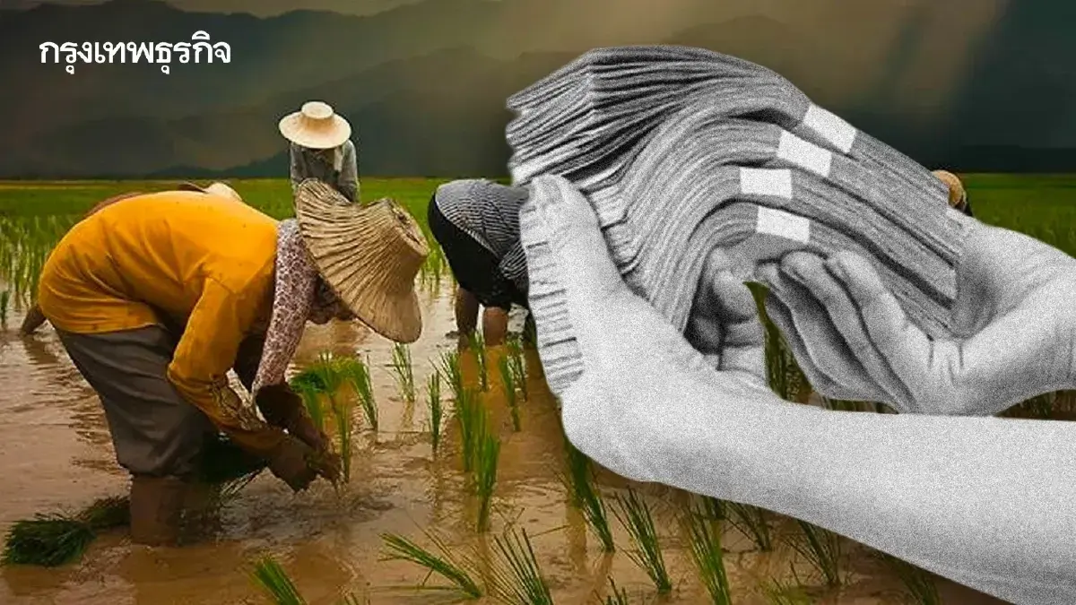 ออกแล้ว กำหนดวันเคาะเงินช่วยเหลือชาวนา ไร่ละ 1000 ปลูกข้าวนาปรัง