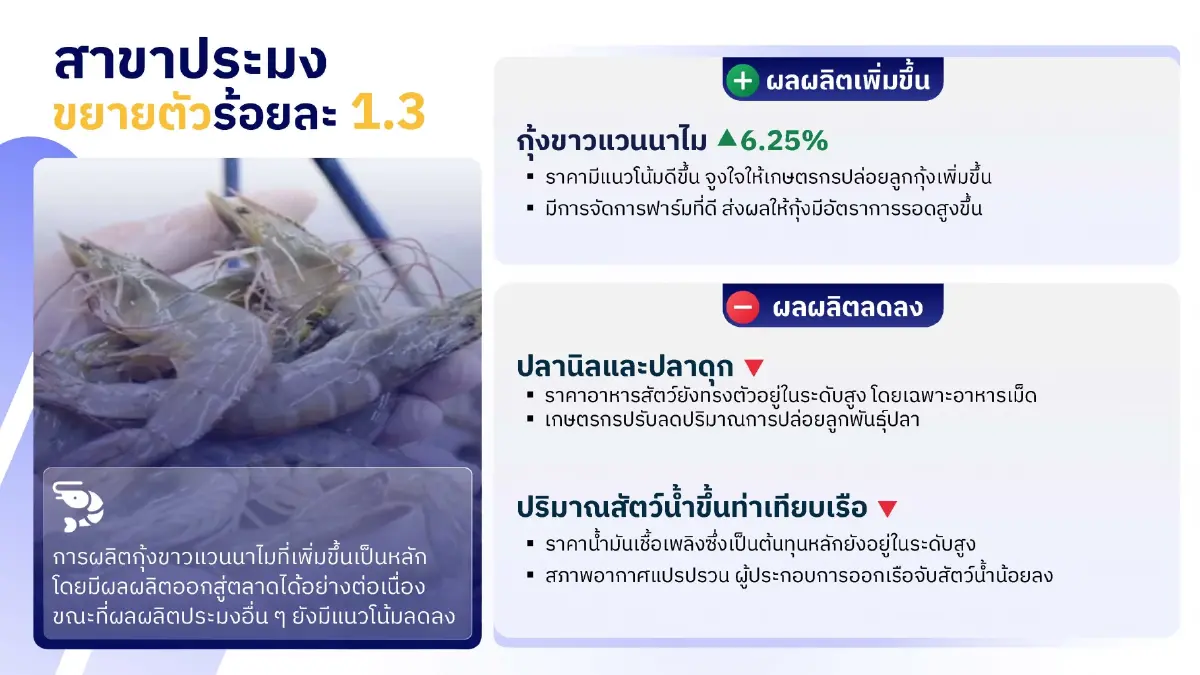 สภาพอากาศเอื้อ จีดีพีเกษตรไตรมาส2 พุ่ง 5.5 % คาดทั้งปีขยายตัว 3 %
