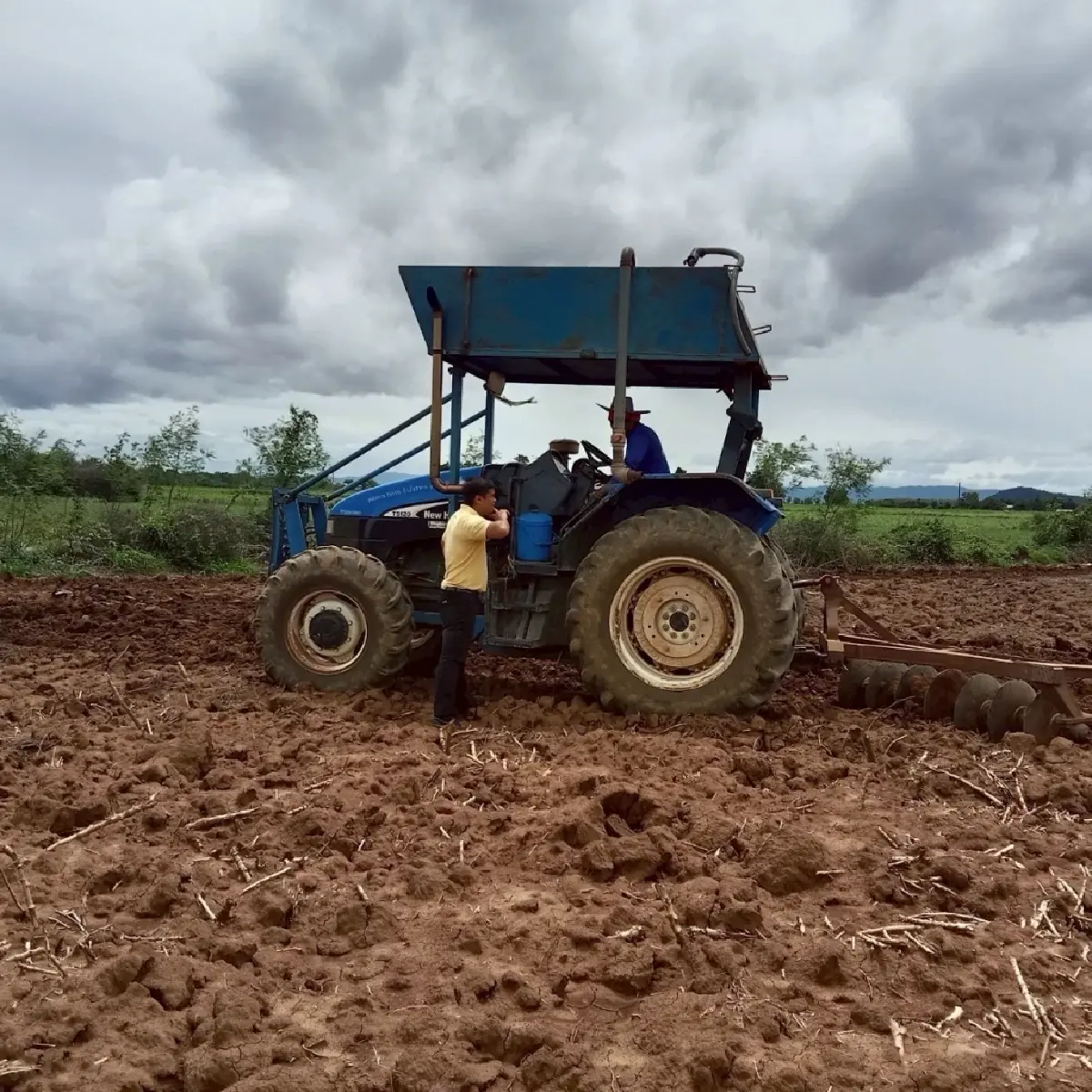 เตรียมดินก่อนปลูกมันสำปะหลัง เพิ่มผลผลิตคุณภาพ สร้างรายได้ดี