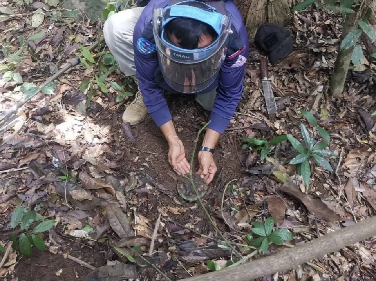 กองทัพภาคที่ 2 แจ้งขอรับการสนับสนุน 'ลวดหนามหีบเพลง' จำนวนมาก