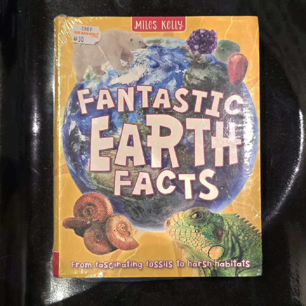 เปิดงานแล้ว! 'Big Bad Wolf Books 2025' เปิดตัว 'mascot'  วันที่ 7-17 ส.ค. 68