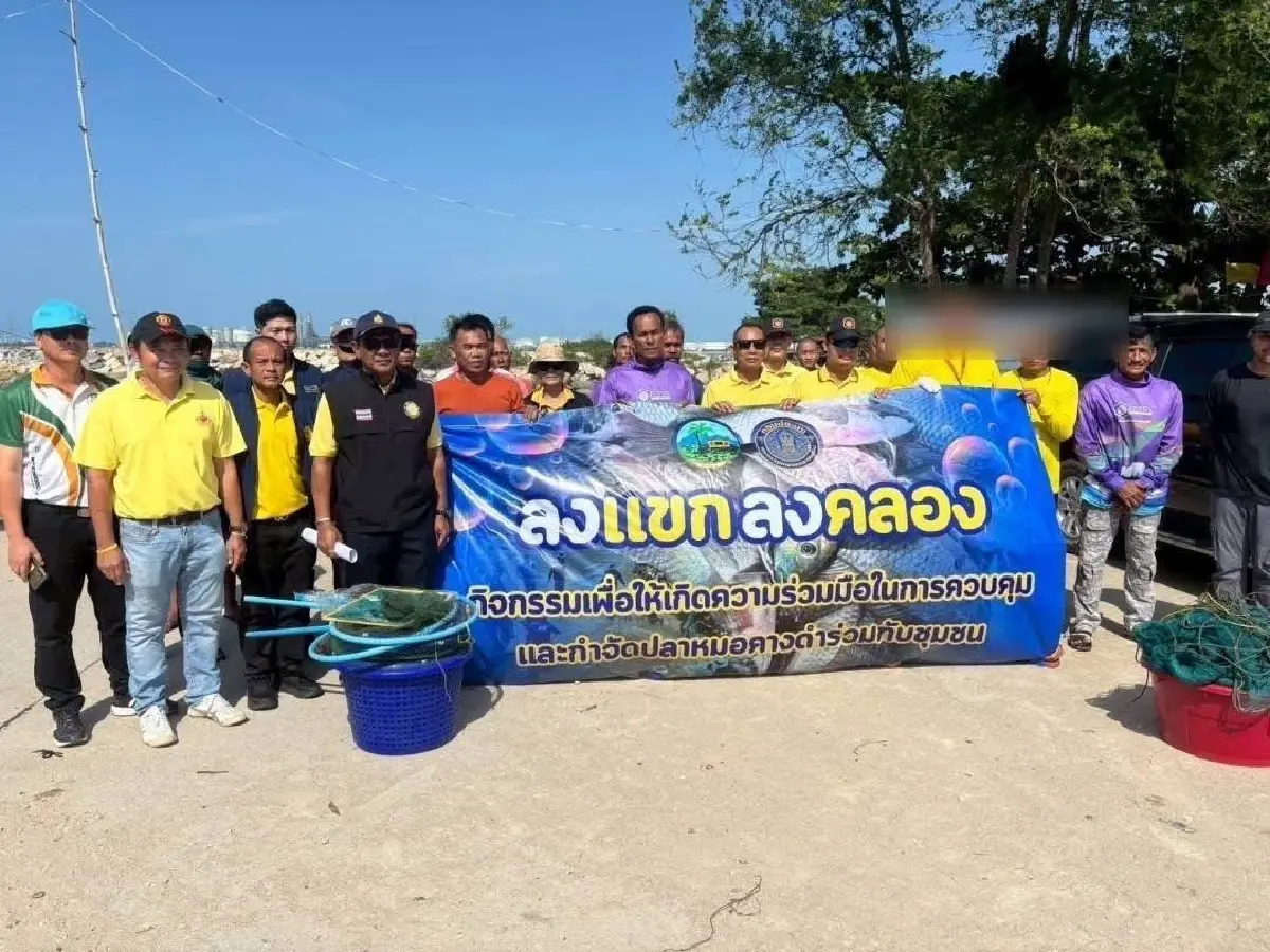 ประมงระยอง เร่งแผนลด ‘ปลาหมอคางดำ’ หนุนจับ-แปรรูป-สร้างสมดุลระบบนิเวศ