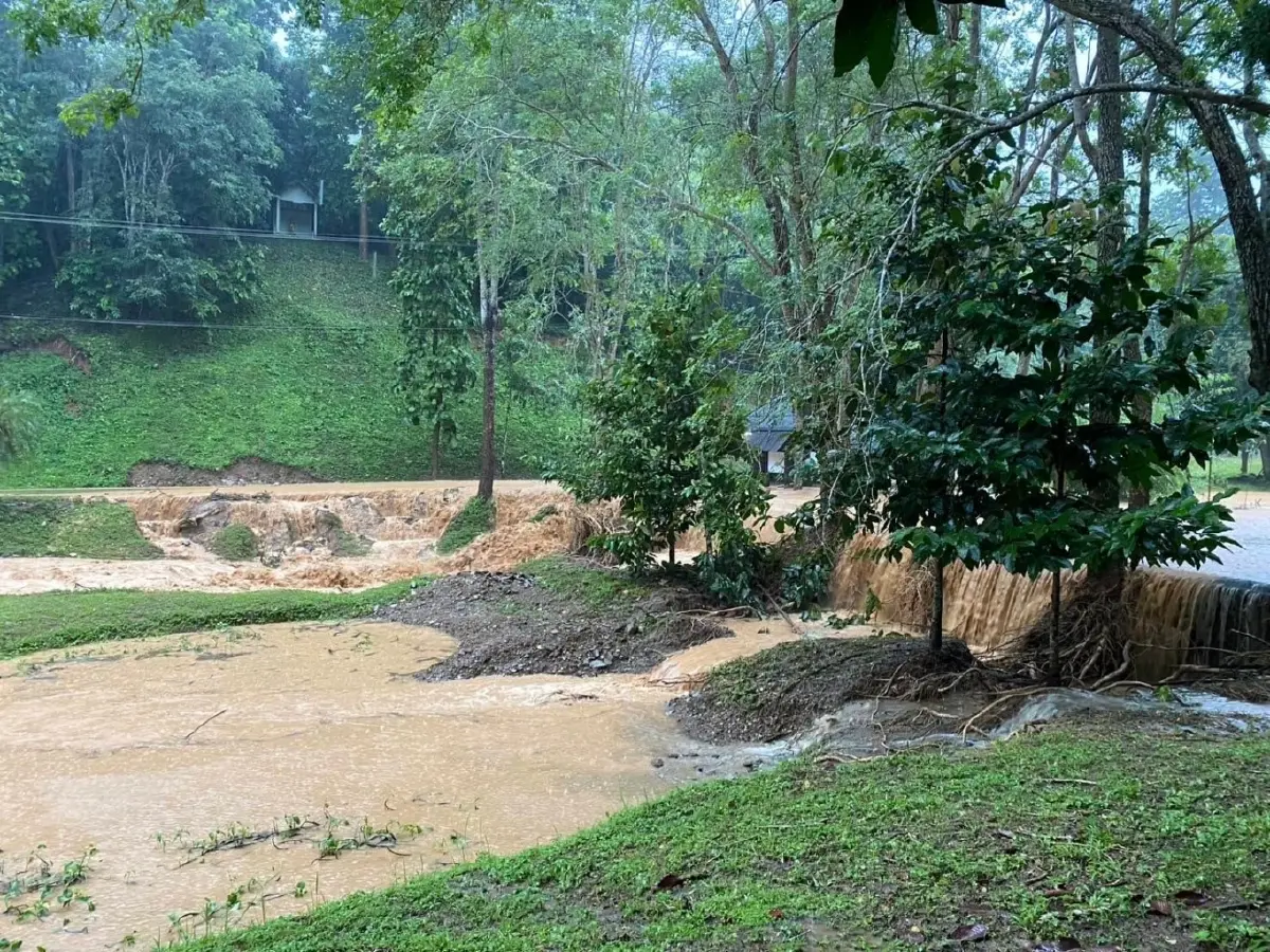 อิทธิพล พายุคาจิกิ ฝนตกหนัก น้ำป่าหลากท่วม อุทยานแห่งชาติแม่จริม