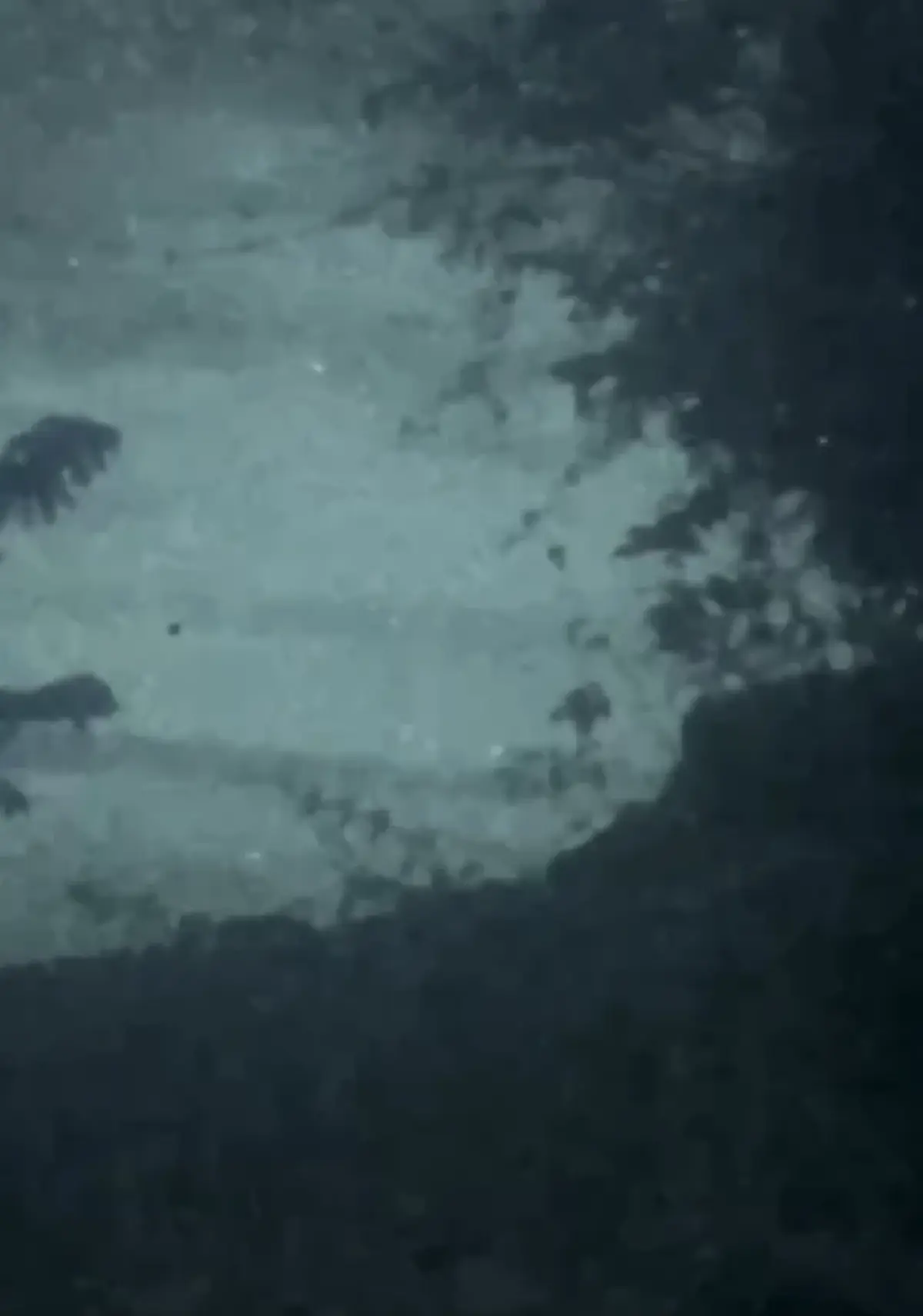 โฆษก ทบ.ฟาด กัมพูชา ปฏิเสธวางทุ่นระเบิดใหม่ ด้าน เพจกองทัพปล่อยคลิปแฉ