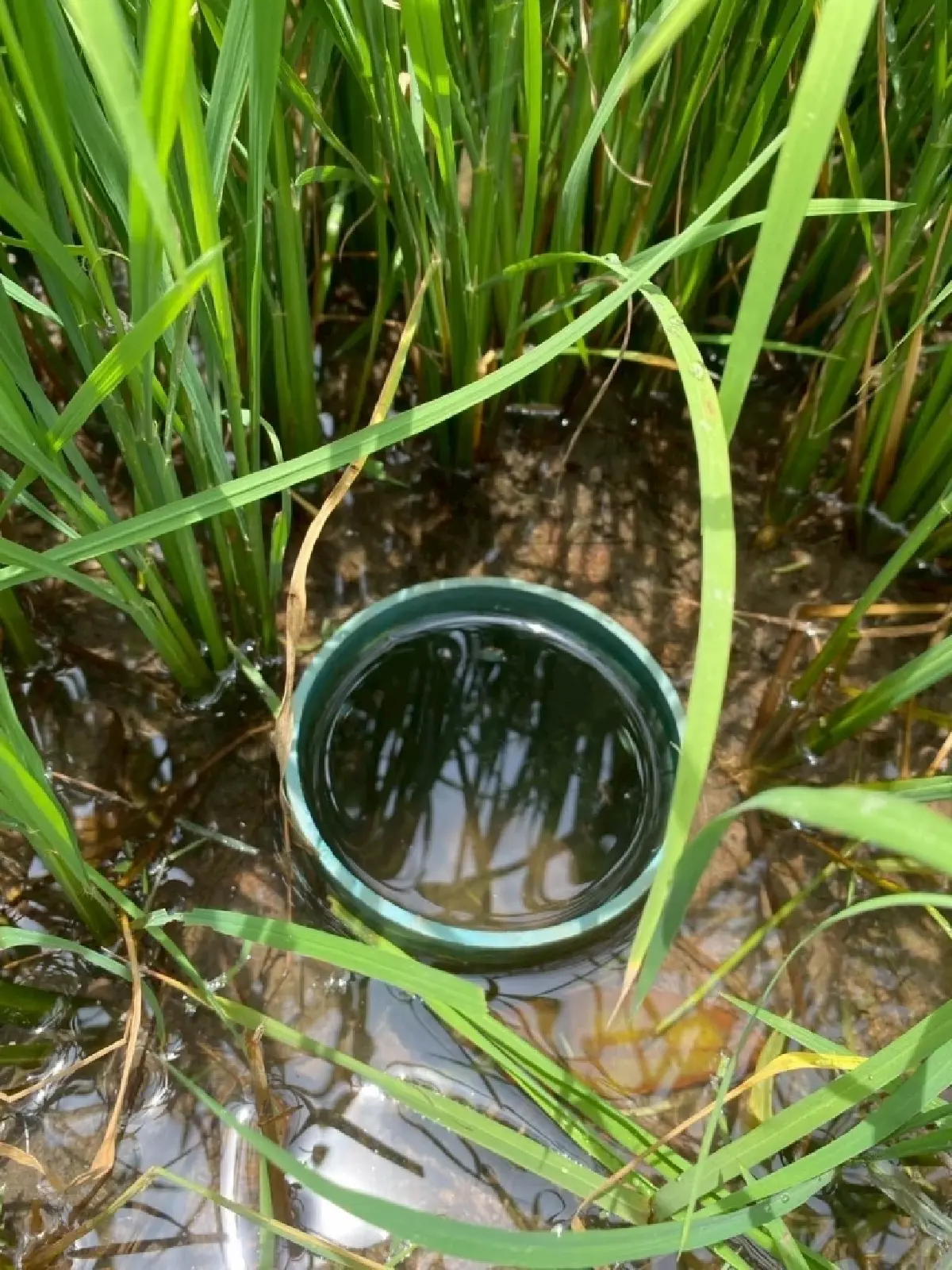 กรมส่งเสริมการเกษตร ร่วม GIZ ดันเกษตรกรสู่ Climate Smart Farmer