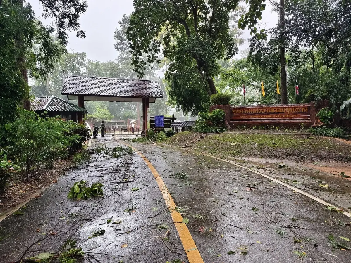พายุคาจิกิ พ่นพิษ ถล่มภาคเหนือ อุทยานฯ ดอยขุนตาล ฝนตกหนักมาก ลมแรง