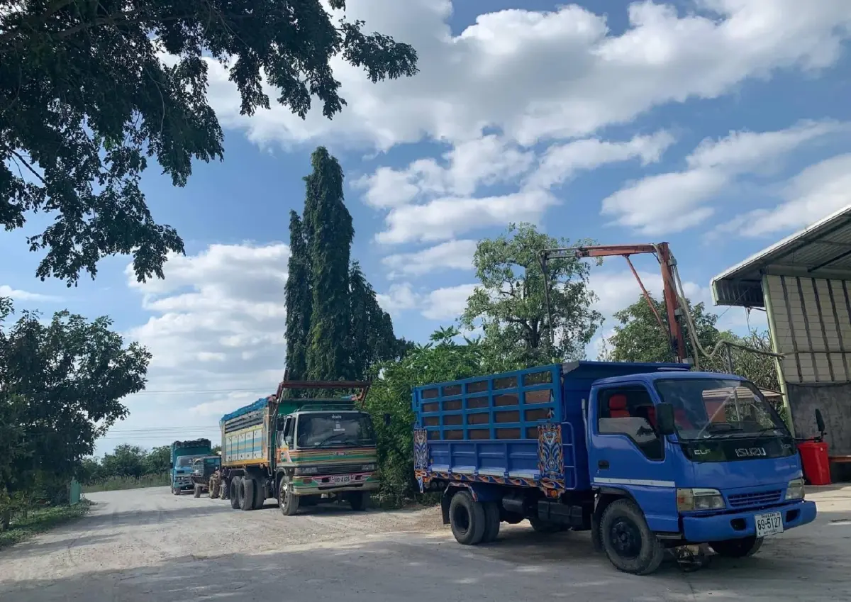 กรุงเทพโปรดิ๊วส เปิดรับซื้อข้าวโพดเลี้ยงสัตว์ ไม่รุก ไม่เผา ทั่วประเทศ