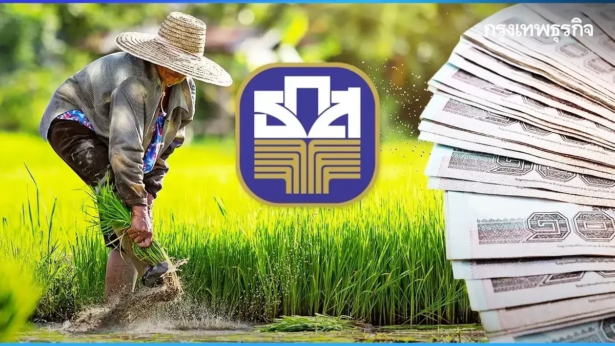 เข้าระบบ เช็กสถานะเงินช่วยเหลือชาวนา ไร่ละ 1000 ธกส. จ่ายตรง 5 รอบ