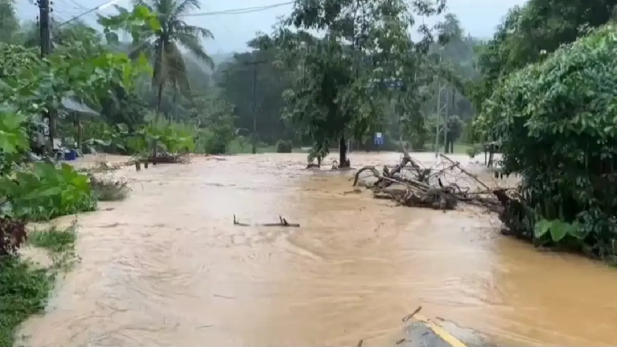 อิทธิพล พายุคาจิกิ ฝนตกหนัก น้ำป่าหลากท่วม อุทยานแห่งชาติแม่จริม