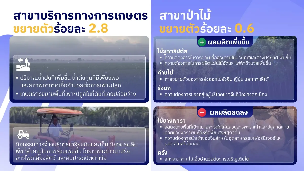 สภาพอากาศเอื้อ จีดีพีเกษตรไตรมาส2 พุ่ง 5.5 % คาดทั้งปีขยายตัว 3 %