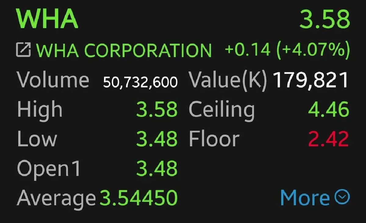 3 หุ้นนิคมฯ กอดคอบวก WHA พุ่งนำ 4.07% รับดีลใหญ่-ต่างชาติแห่ซื้อที่ดิน
