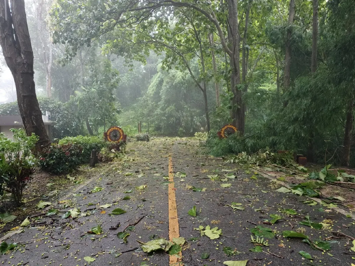 พายุคาจิกิ พ่นพิษ ถล่มภาคเหนือ อุทยานฯ ดอยขุนตาล ฝนตกหนักมาก ลมแรง