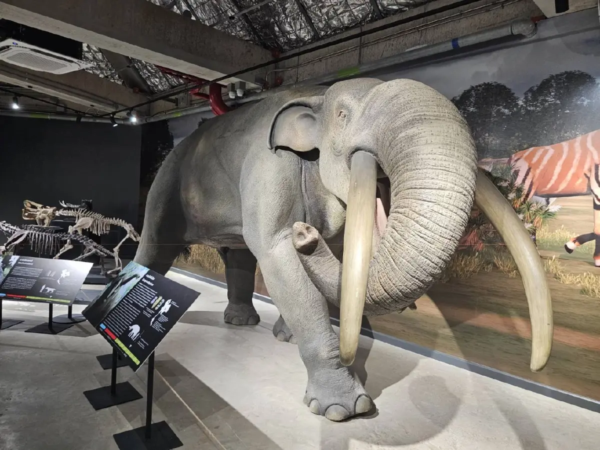 'THAINOSAUR' ชวนย้อนเวลาชม 'ไดโนเสาร์พันธุ์ไทย' ที่ ท่าพิพิธภัณฑ์