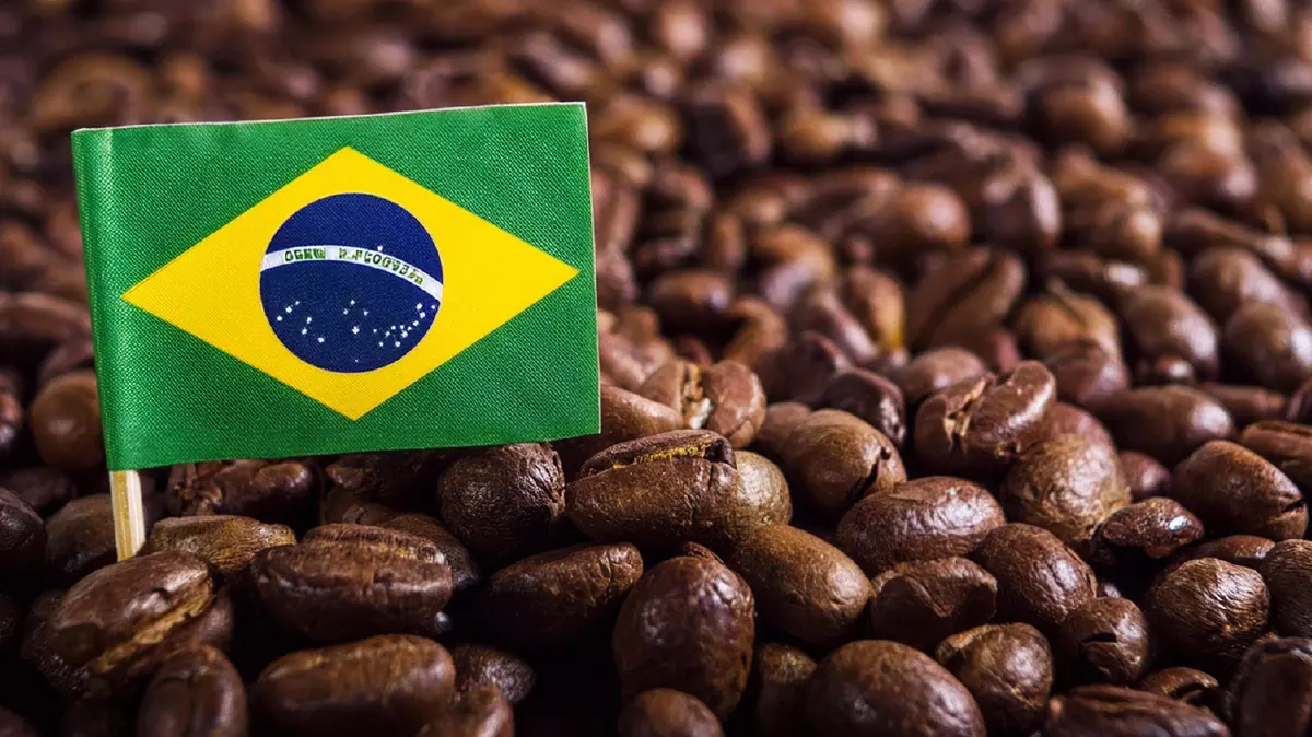 ยักษ์กาแฟบราซิล ไปต่อยังไงดี? ใต้เงาภาษีทรัมป์ 50%!