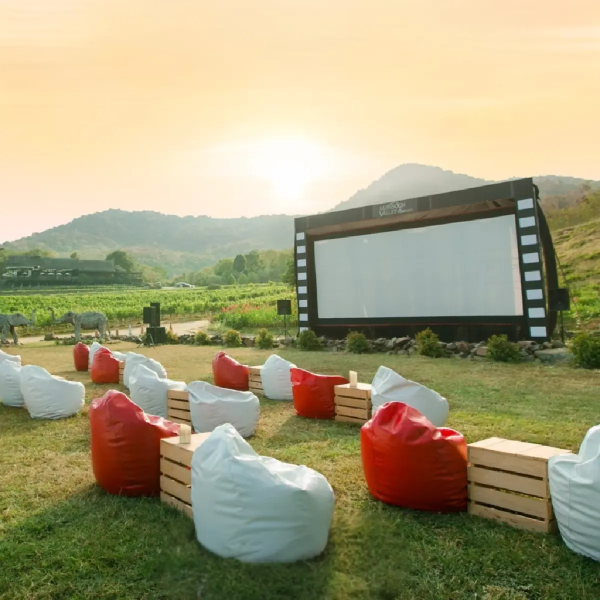 เทศกาล Vineyard Fest กิจกรรมจากมอนซูน แวลลีย์ บรรยากาศของไร่องุ่น