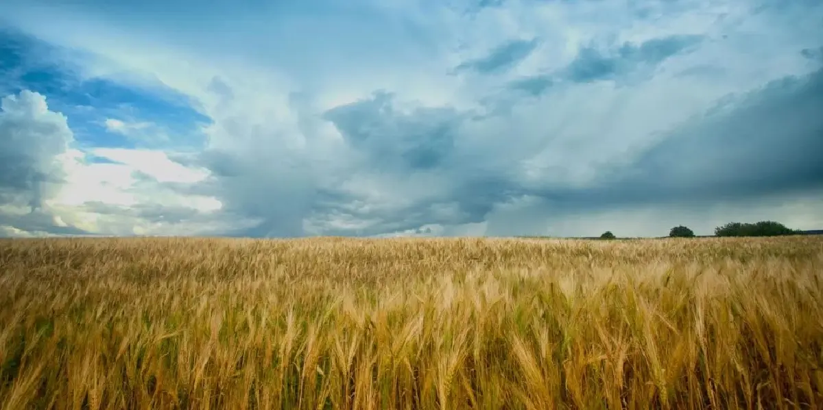 เกลนกอยน์ (Glengoyne) ซิงเกิล มอลต์ แห่งหุบเขาห่านป่า