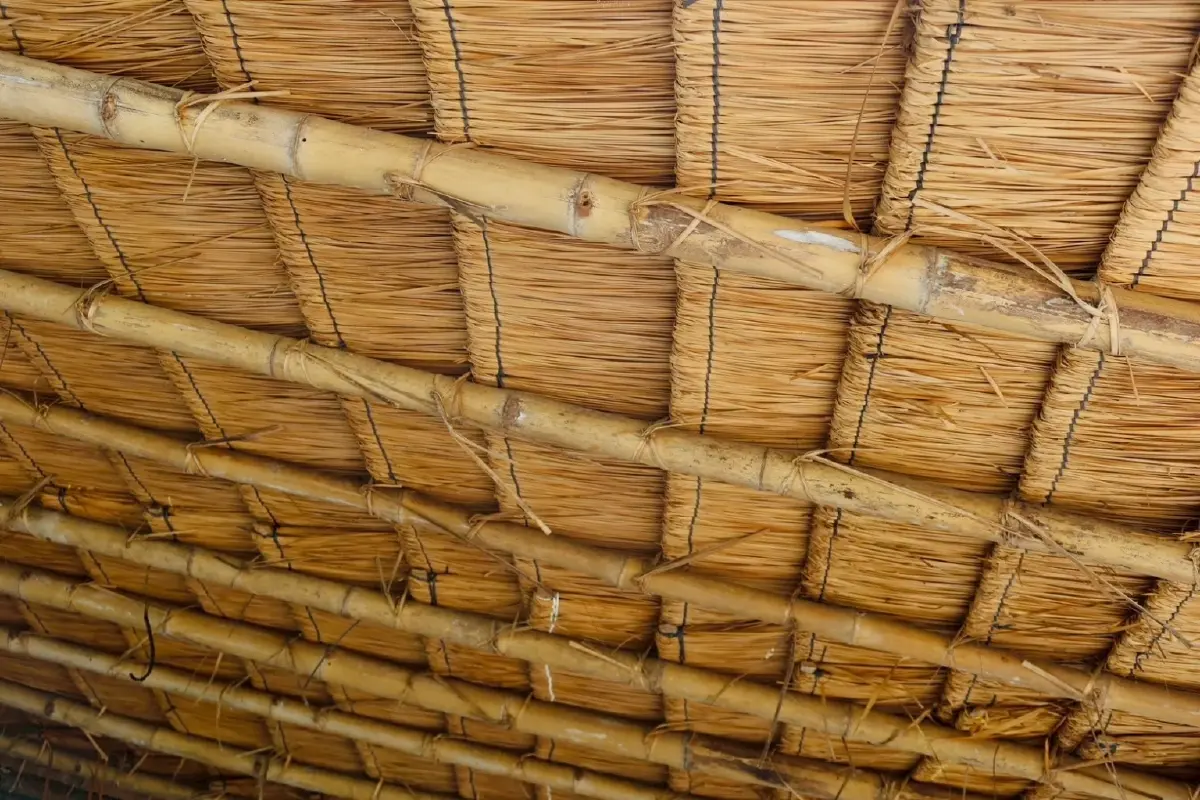 กรมพัฒนาที่ดิน หนุน‘ปลูกหญ้าแฝก’ ฟื้นฟูดิน กักเก็บน้ำ สร้างรายได้ยั่งยืน