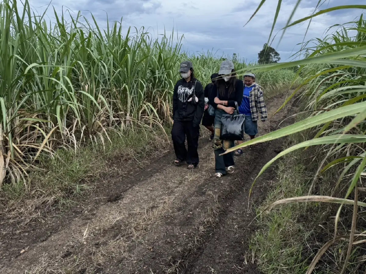 งานอะไร? จับ 4 สาวไทยลอบเข้ากัมพูชา จ่ายคนละ 6,000 มุ่งปอยเปต