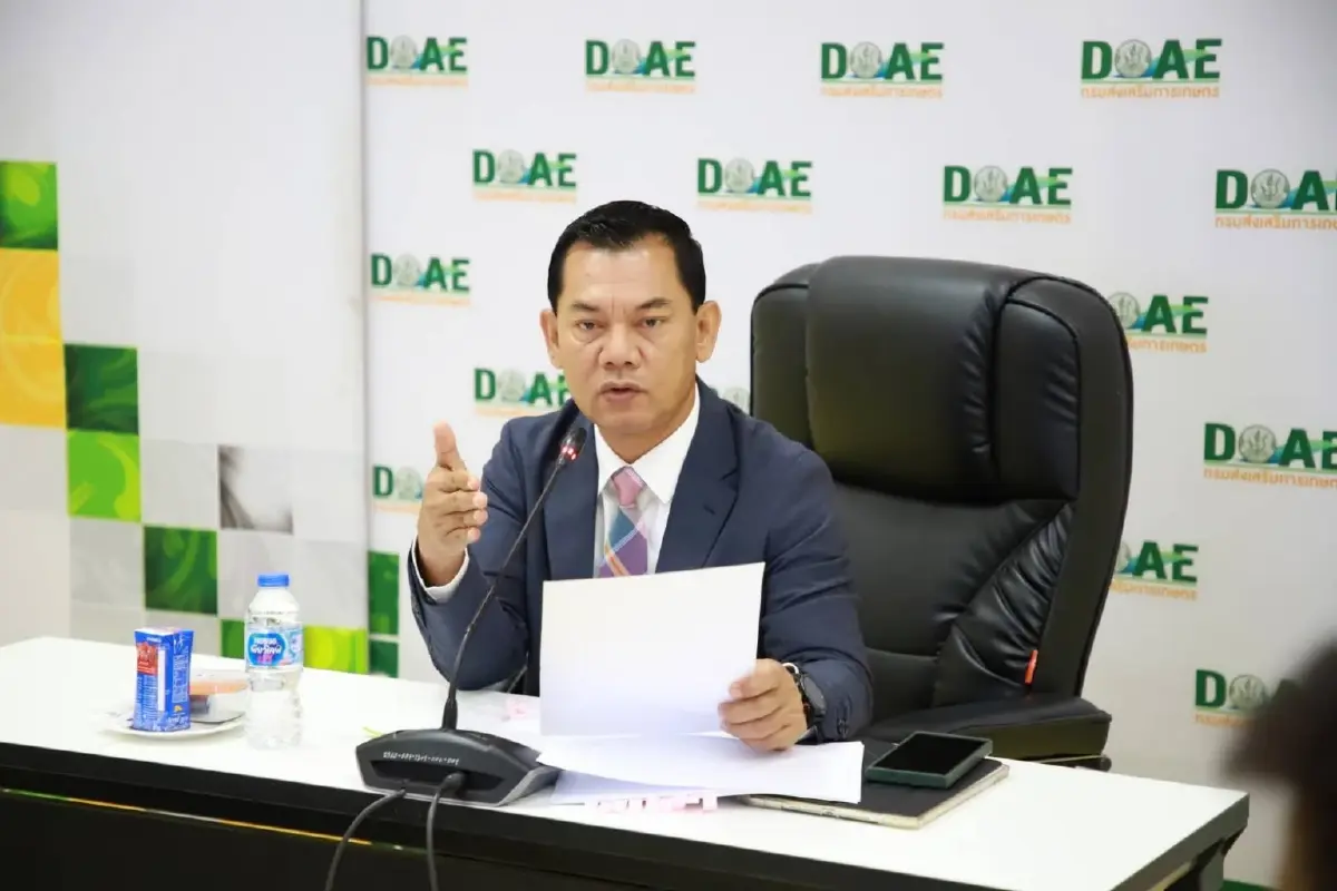 วันแม่หนุนราคาดอกมะลิพุ่งช่วงสั้นๆ หลังตกต่ำต่อเนื่อง 26 %