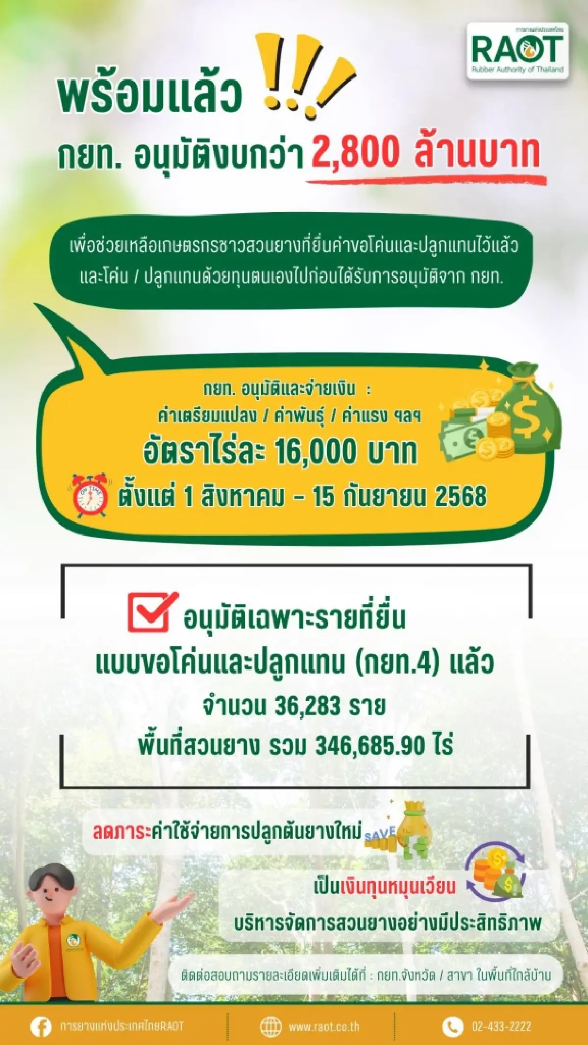 รับเงินก้อนใหญ่ คนปลูกยางพารา โค่งยางปลูกใหม่ ได้เงินไร่ละ 16000