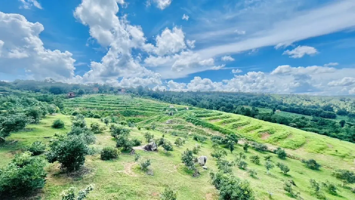 ‘โรงเรียนเกษตรกรอะโวคาโด’ ต้นแบบชุมชนคาร์บอนต่ำ เปลี่ยนไร่มันสำปะหลัง สร้างธรรมชาติที่ยั่งยืน