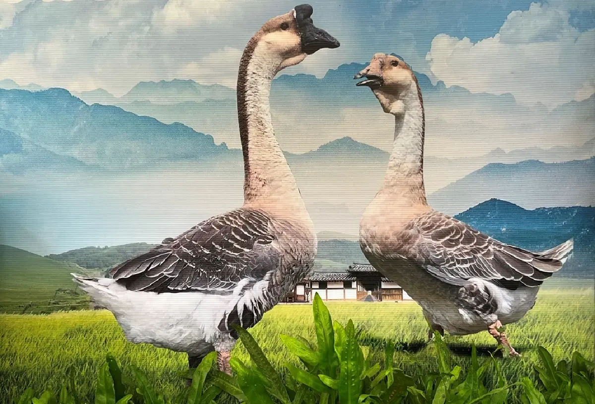 งานสีสรรพรรณไม้ฯ 68: ชิมเมนูราชสำนัก ชมห่านหัวสิงโต ปลาบอลลูน