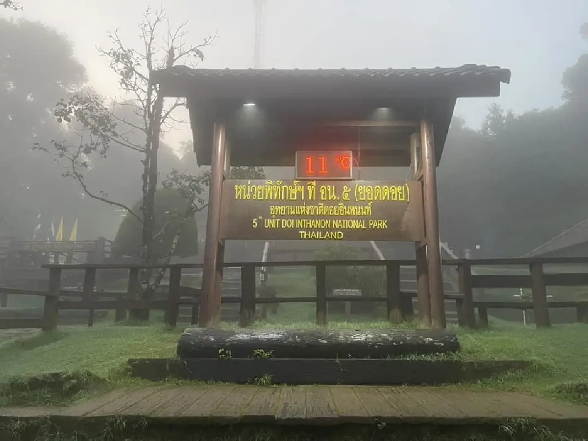 'ดอยอินทนนท์' หนาวสะท้าน 11°C รับหน้าฝน นทท.แห่สัมผัสสุดฟิน