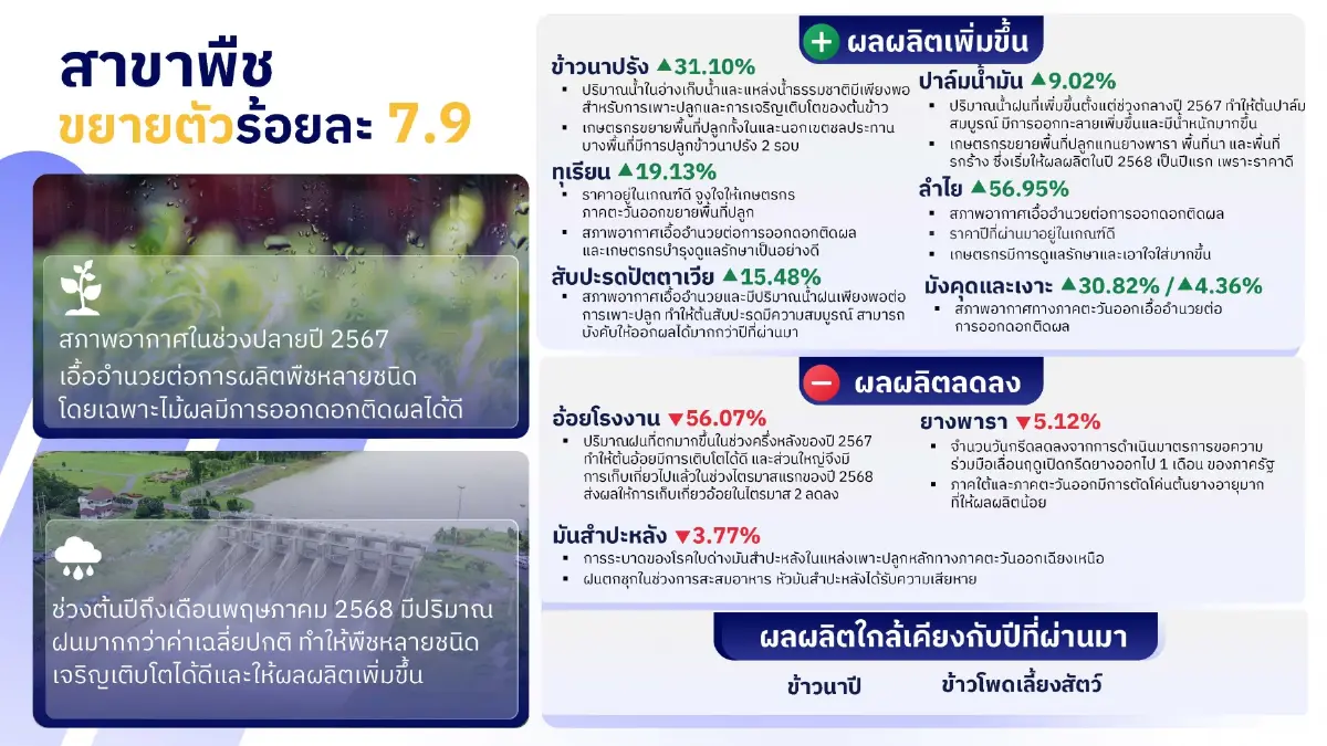 สภาพอากาศเอื้อ จีดีพีเกษตรไตรมาส2 พุ่ง 5.5 % คาดทั้งปีขยายตัว 3 %