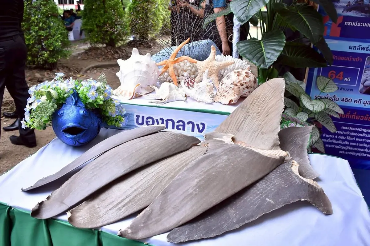 อรรถกร เปิดเกมส์รุก ‘ฉก.พญานาคราช’ เข้มปราบสินค้าเกษตรเถื่อน