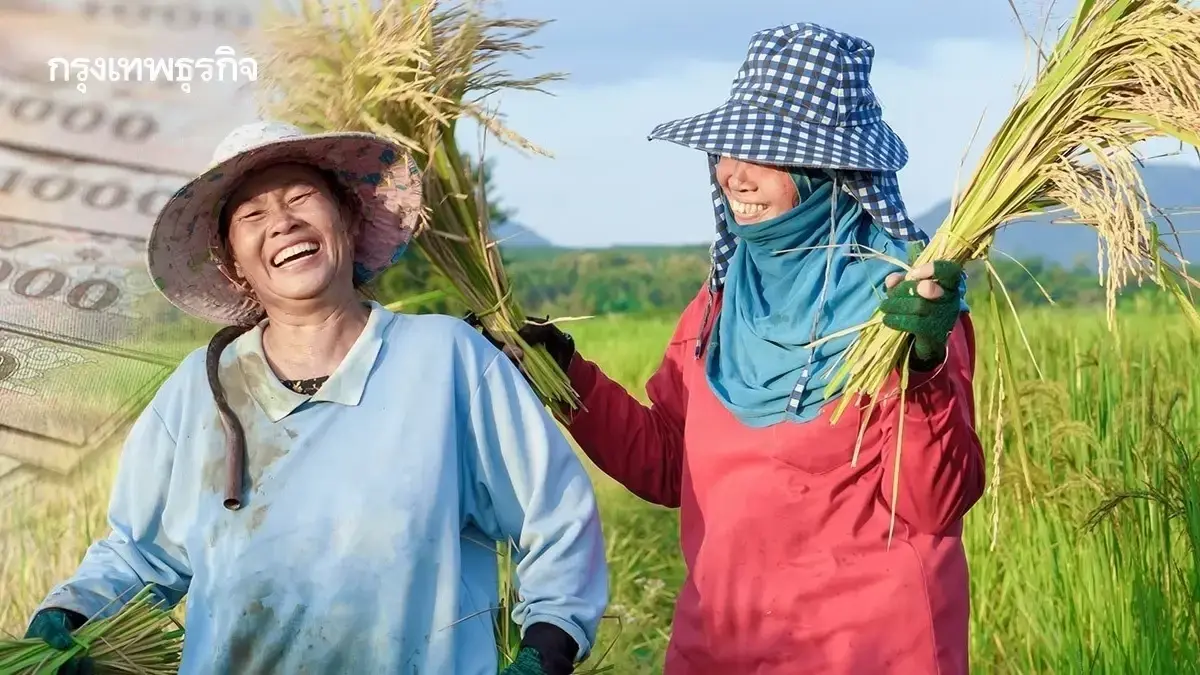 เข้าระบบ เช็กสถานะเงินช่วยเหลือชาวนา ไร่ละ 1000 ธกส. จ่ายตรง 5 รอบ