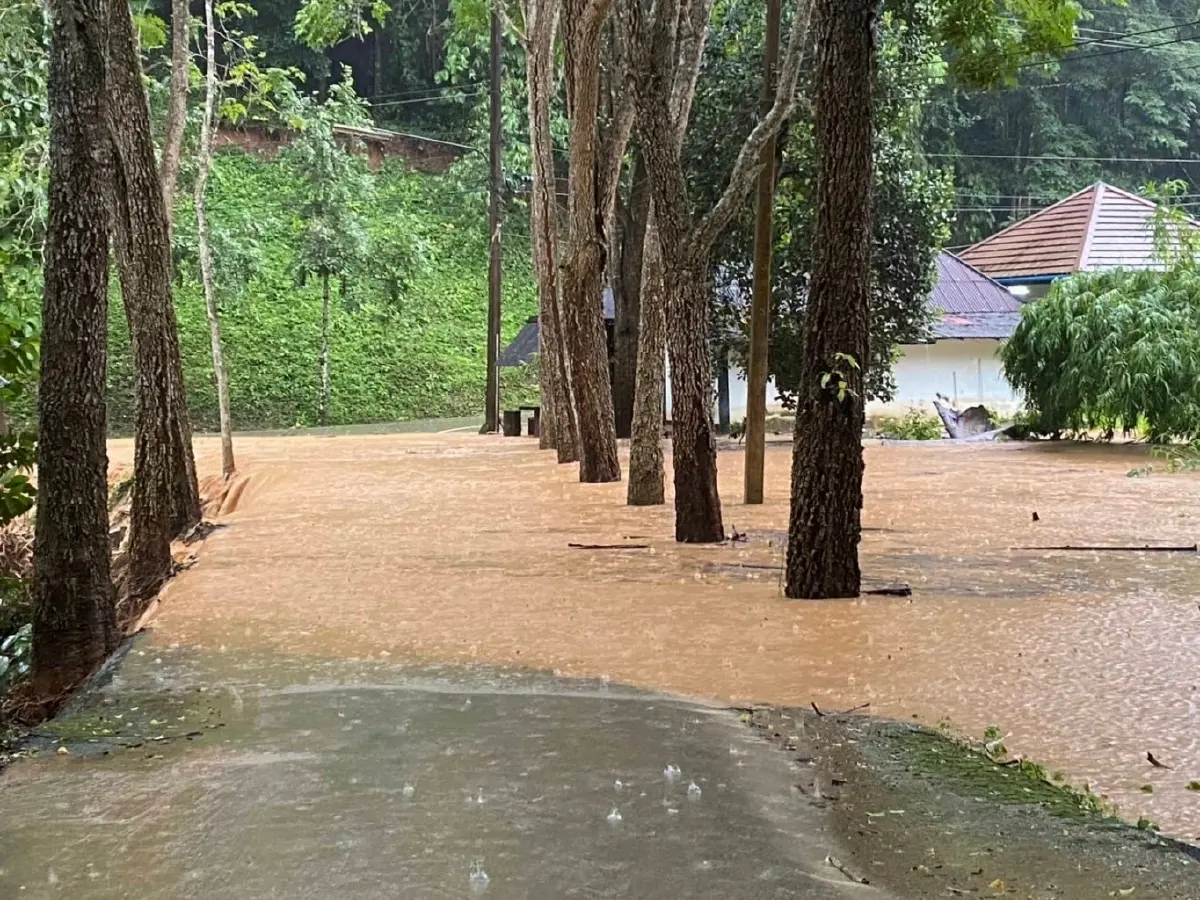 อิทธิพล พายุคาจิกิ ฝนตกหนัก น้ำป่าหลากท่วม อุทยานแห่งชาติแม่จริม