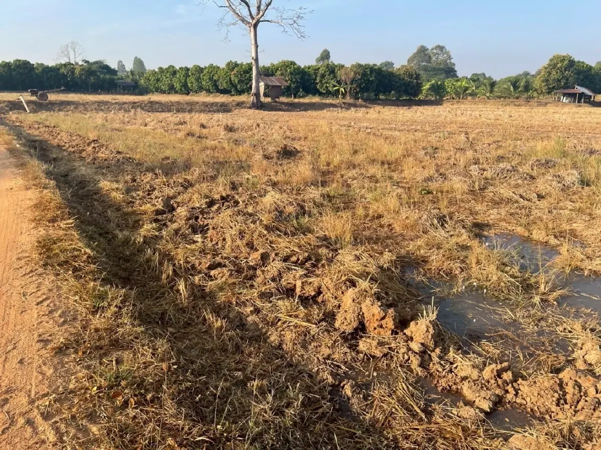 กรมส่งเสริมการเกษตร ร่วม GIZ ดันเกษตรกรสู่ Climate Smart Farmer