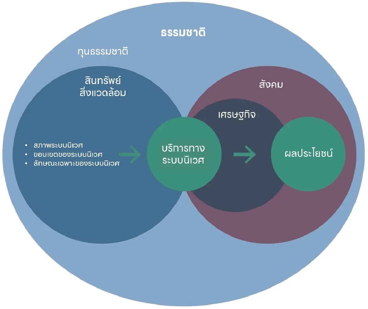 TNFD: กรอบการเปิดเผยข้อมูลความยั่งยืนเกี่ยวกับธรรมชาติ
