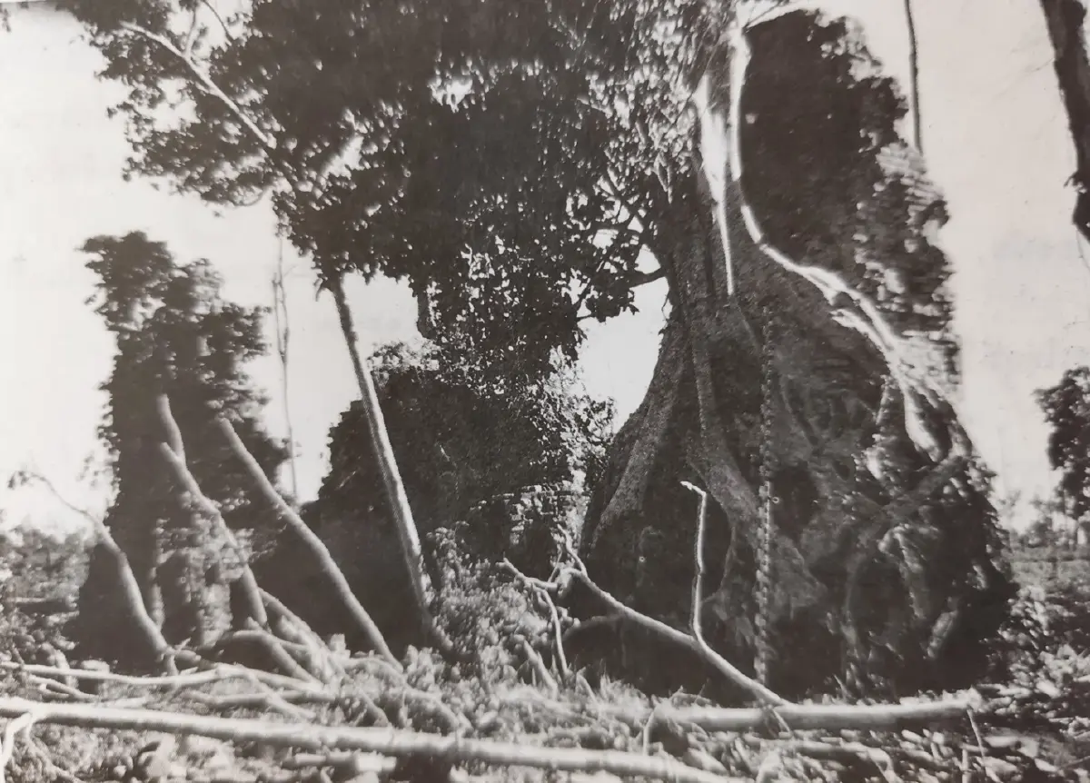 บายแบก...ปราสาทติดชายแดน