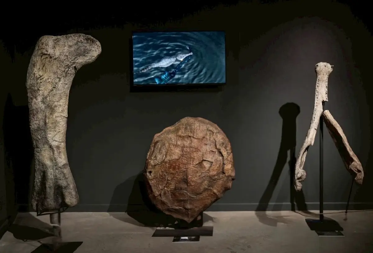 'THAINOSAUR' ชวนย้อนเวลาชม 'ไดโนเสาร์พันธุ์ไทย' ที่ ท่าพิพิธภัณฑ์