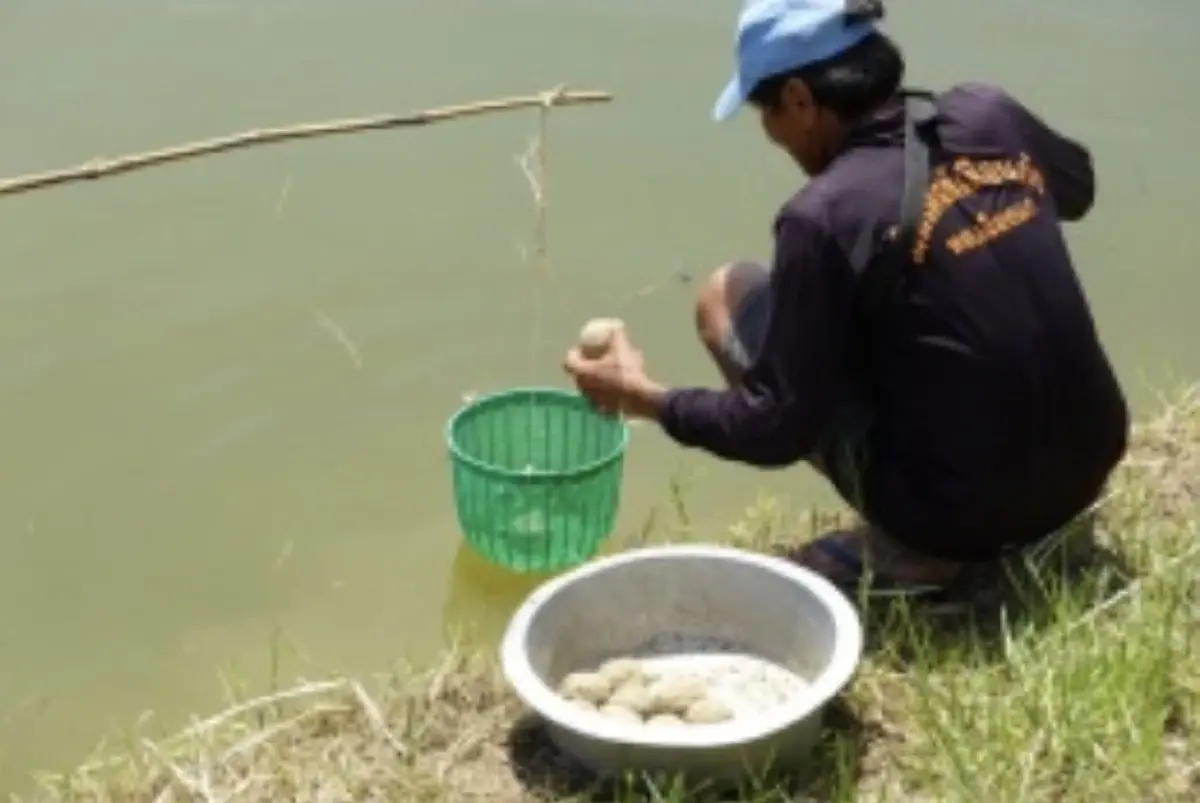 กรมประมง หนุนเกษตรกรใช้วัตถุดิบท้องถิ่น ผลิตอาหารสัตว์น้ำอินทรีย์