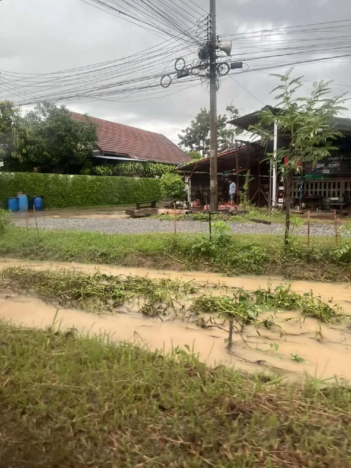 พายุโซนร้อนรุนแรงคาจิกิ ถล่มแพร่ น้ำท่วมหลายจุด ประกาศปิดถนน