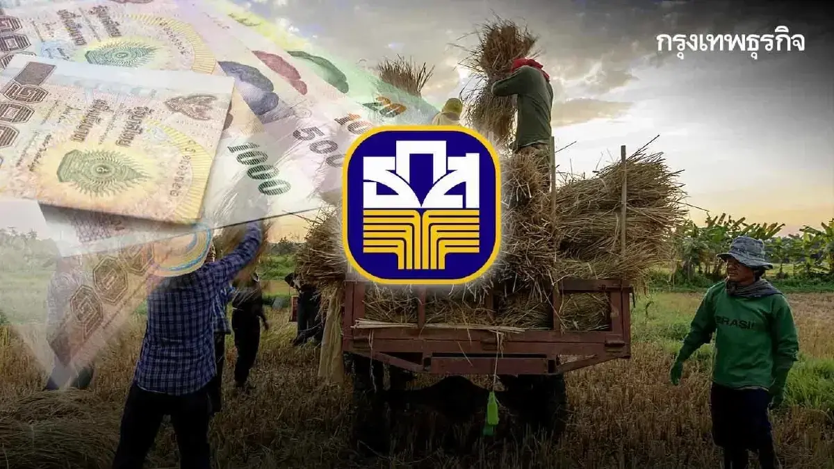ไร่ละ 1,000 ธ.ก.ส. โอนให้ชาวนา ผู้ปลูกข้าวนาปี 2568/69 เงินถึงเกษตรกร
