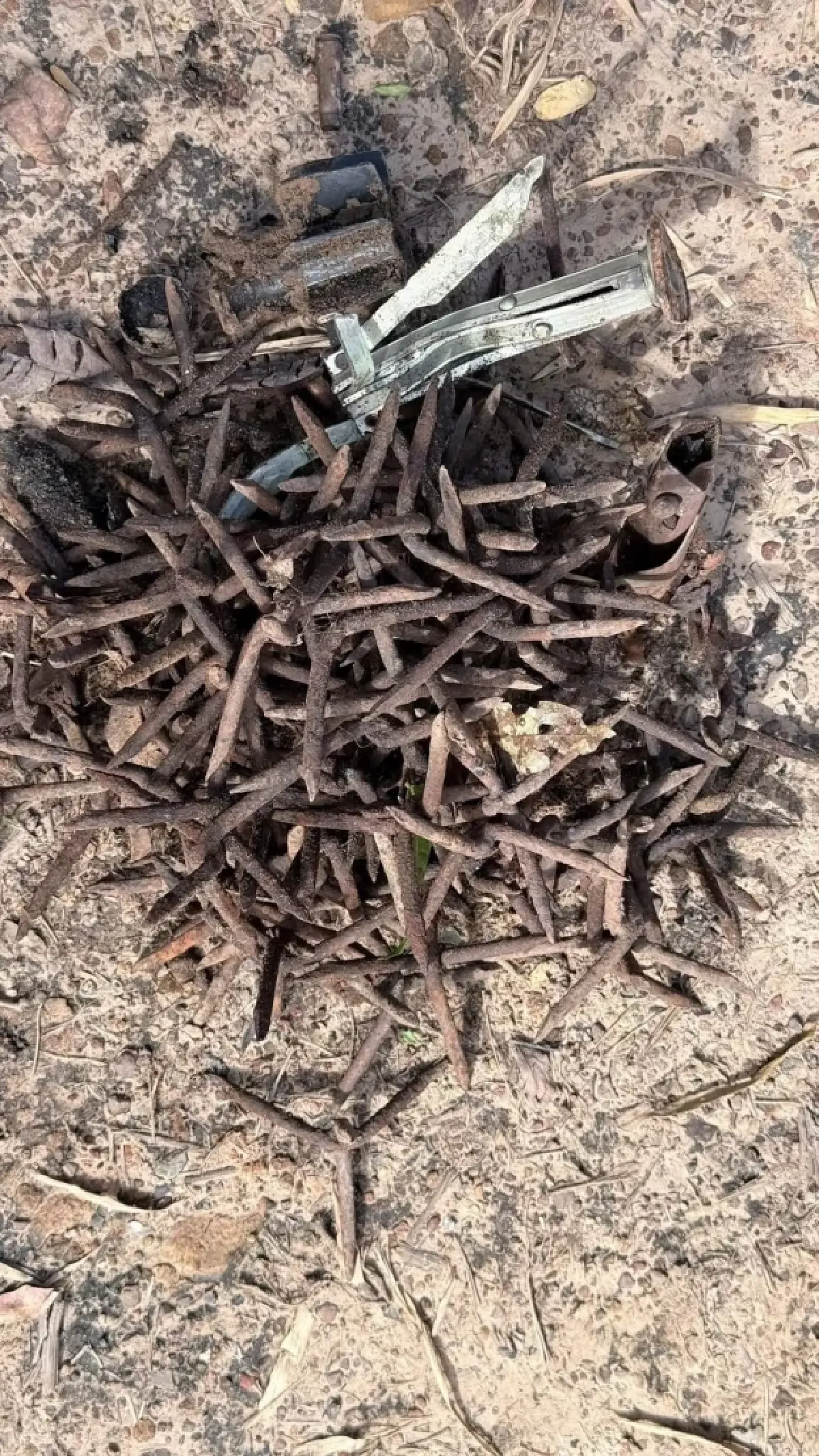 หน่วยกู้ระเบิด ทร.พบ PMN-2 จำนวน 4 ทุ่น เส้นทางลาดตระเวนภูมะเขือ