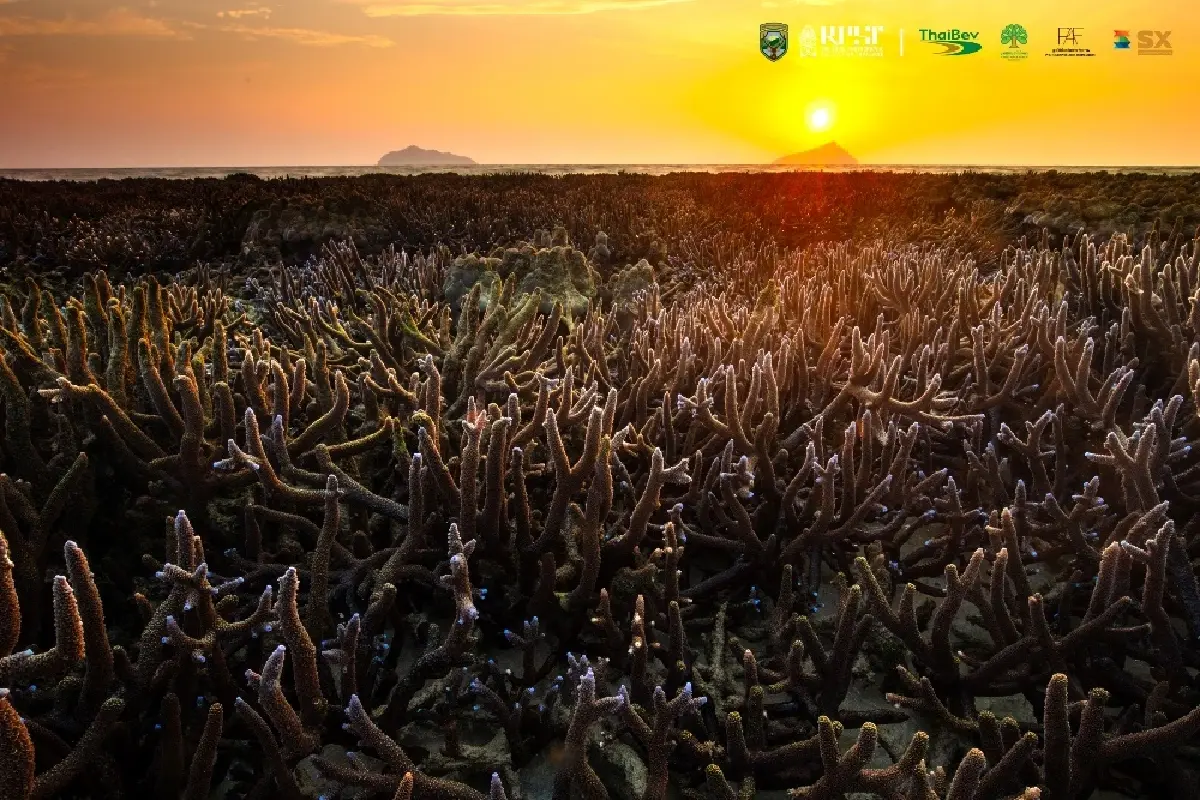 7 ไฮไลต์ศิลปะและความยั่งยืนใน Sustainability Expo 2025 (SX2025)