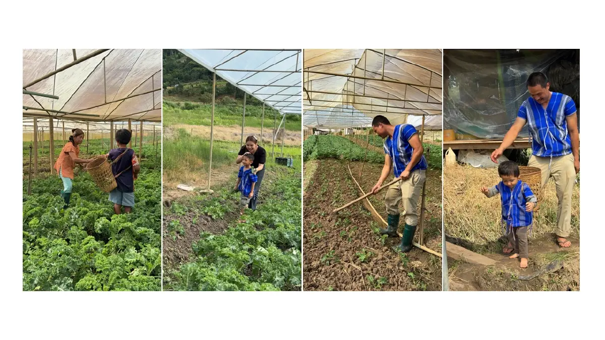 Snackies ขนมทานเล่นจากผักและผลไม้ สร้างปรากฏการณ์ยอดขาย 8 หลักตั้งแต่ปีแรก