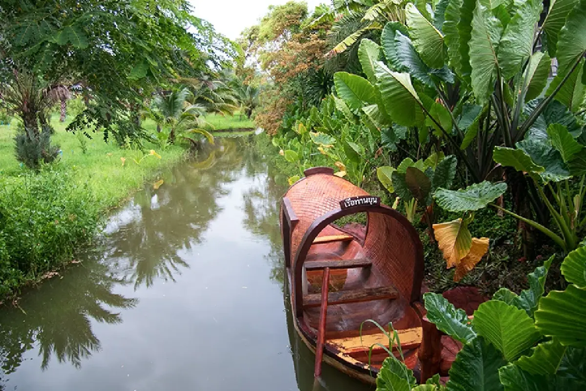 หนึ่งดวงใจในป่ากว้าง แหล่งชมผีเสื้อ 'ปางสีดา' สีสันแห่งปีกบาง
