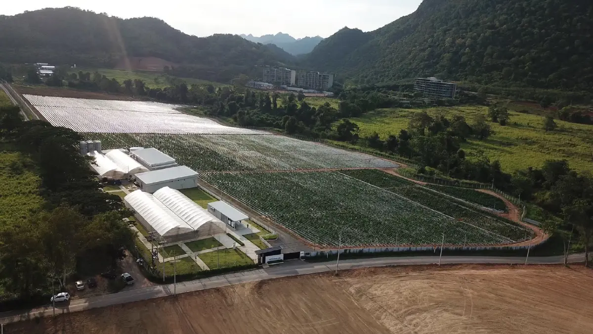 'Diip' พลิกเกม 'ผลิตภัณฑ์ CBD' ทางเลือกใหม่สู้เครียด-นอนไม่หลับ