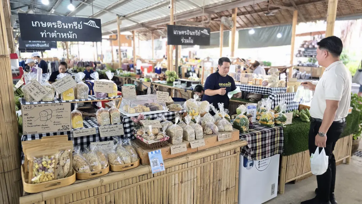 ชวนเที่ยว ใกล้กรุง ‘ตลาดสุขใจ’ และ 'Amazing Green Fest 2025' วันที่ 11-14 ก.ย. 68