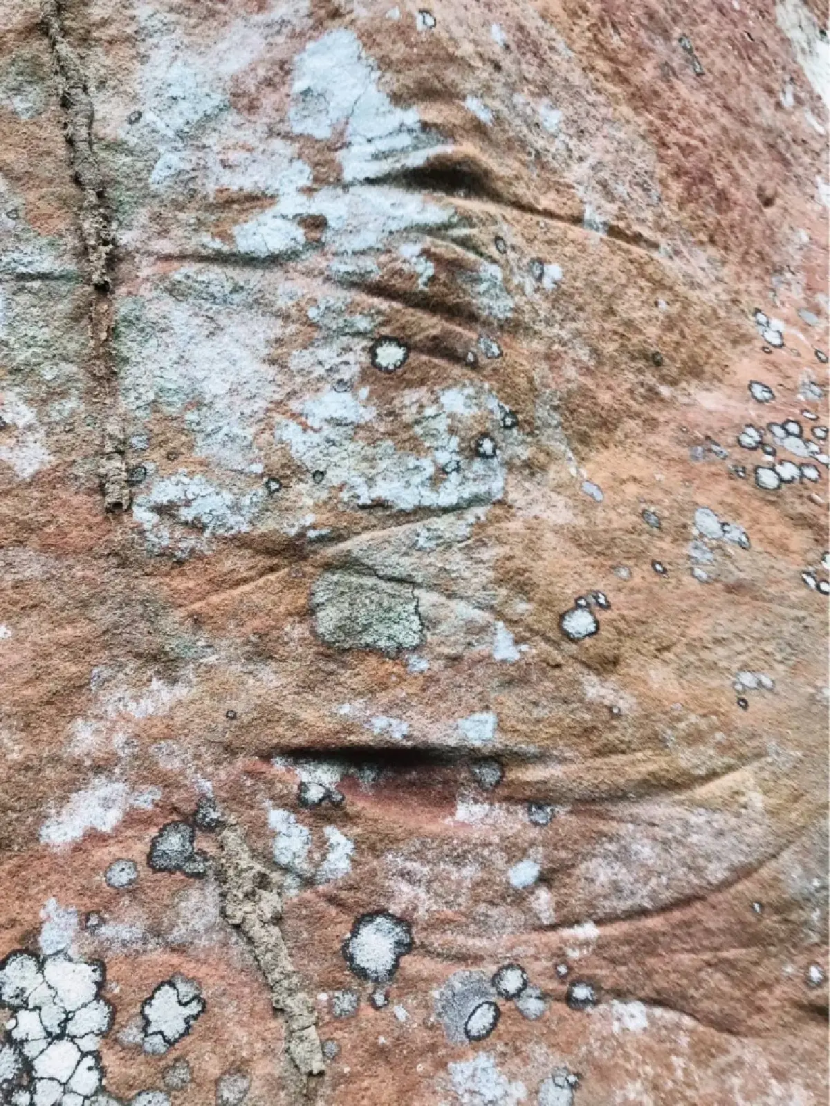 ฮือฮา พบแหล่งโบราณคดีแห่งใหม่ "ผาปางเปือย" บนยอดเขาภูขัด พิษณุโลก