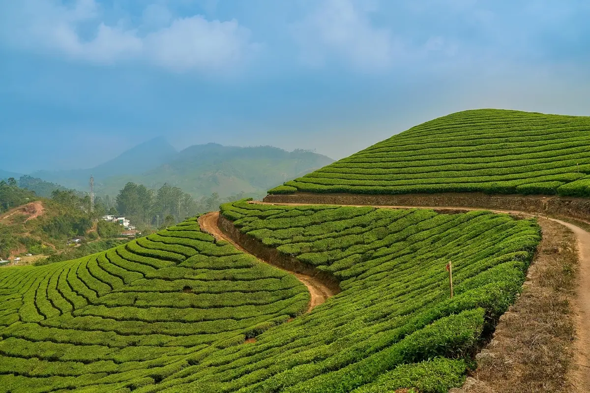 ท่องเที่ยวชนบทมาแรง คนอยากฮีลใจ!  ‘อโกด้า’ เผย ‘เขาใหญ่’ คว้าอันดับ 2 เมืองชนบทยอดนิยมในเอเชีย