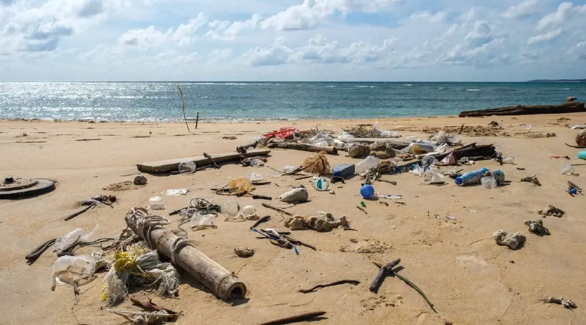 จุฬาฯ จับมือ The Ocean Cleanup ใช้กล้อง และ AI แก้ปัญหาขยะในแม่น้ำ