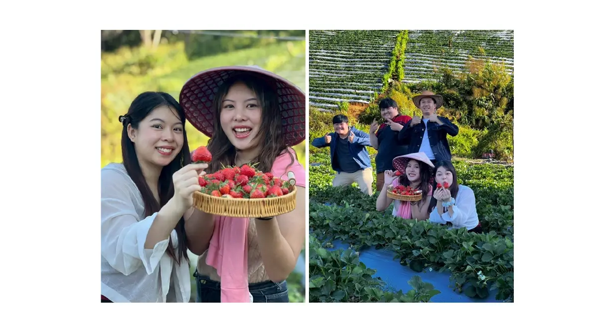 Snackies ขนมทานเล่นจากผักและผลไม้ สร้างปรากฏการณ์ยอดขาย 8 หลักตั้งแต่ปีแรก